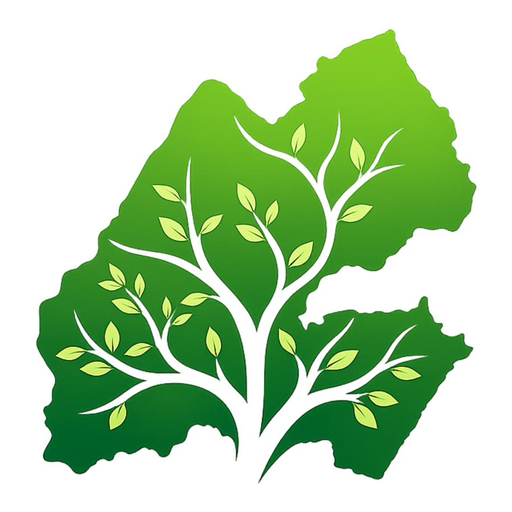 Logo DJIBSUUQ : carte de Djibouti et arbre